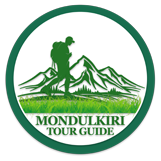 logo site