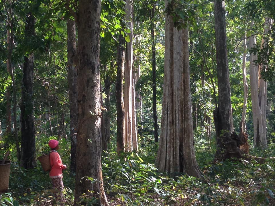 photo_2026 01 27_14 33 00