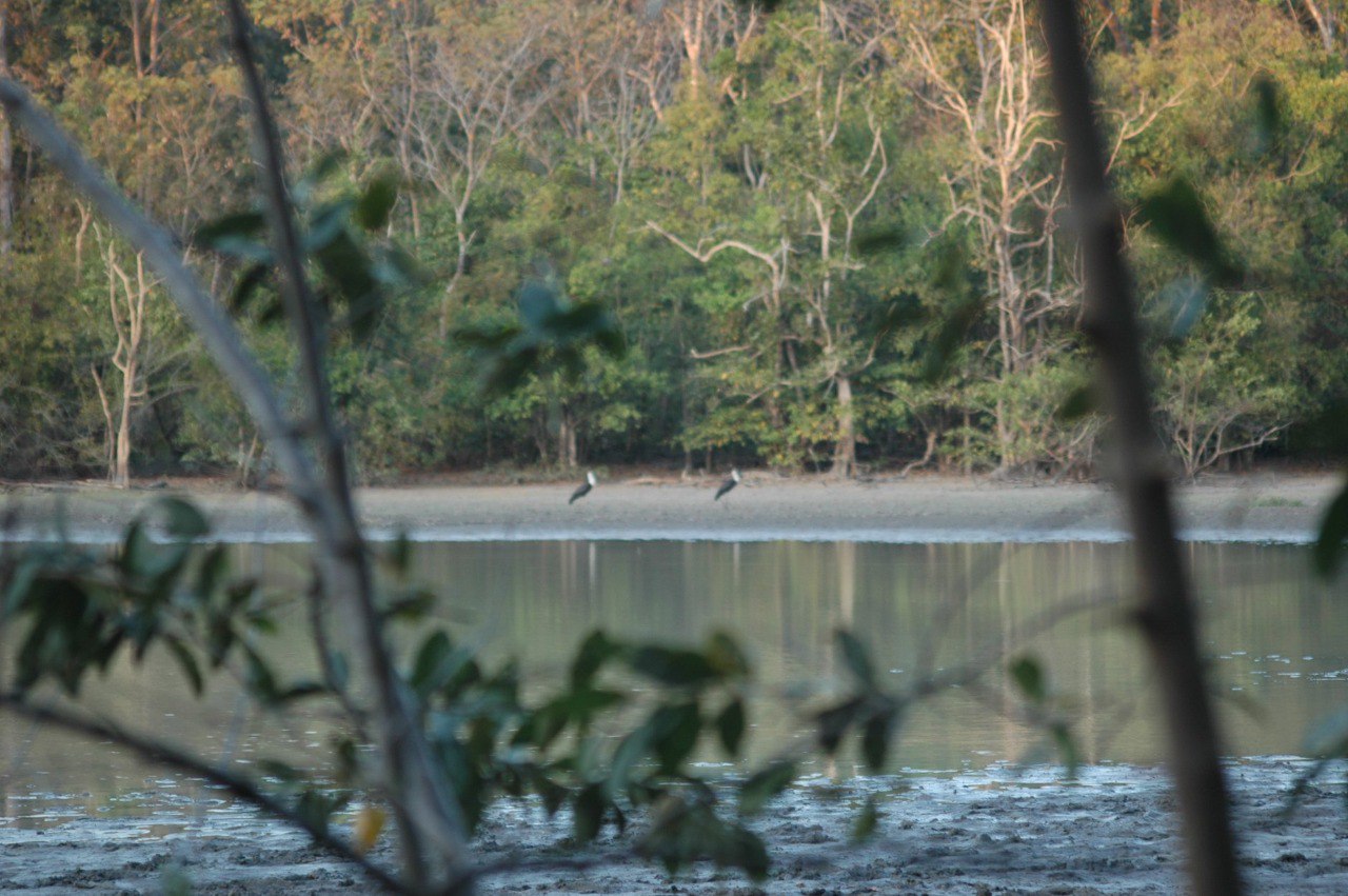 photo_2026 01 27_14 33 10