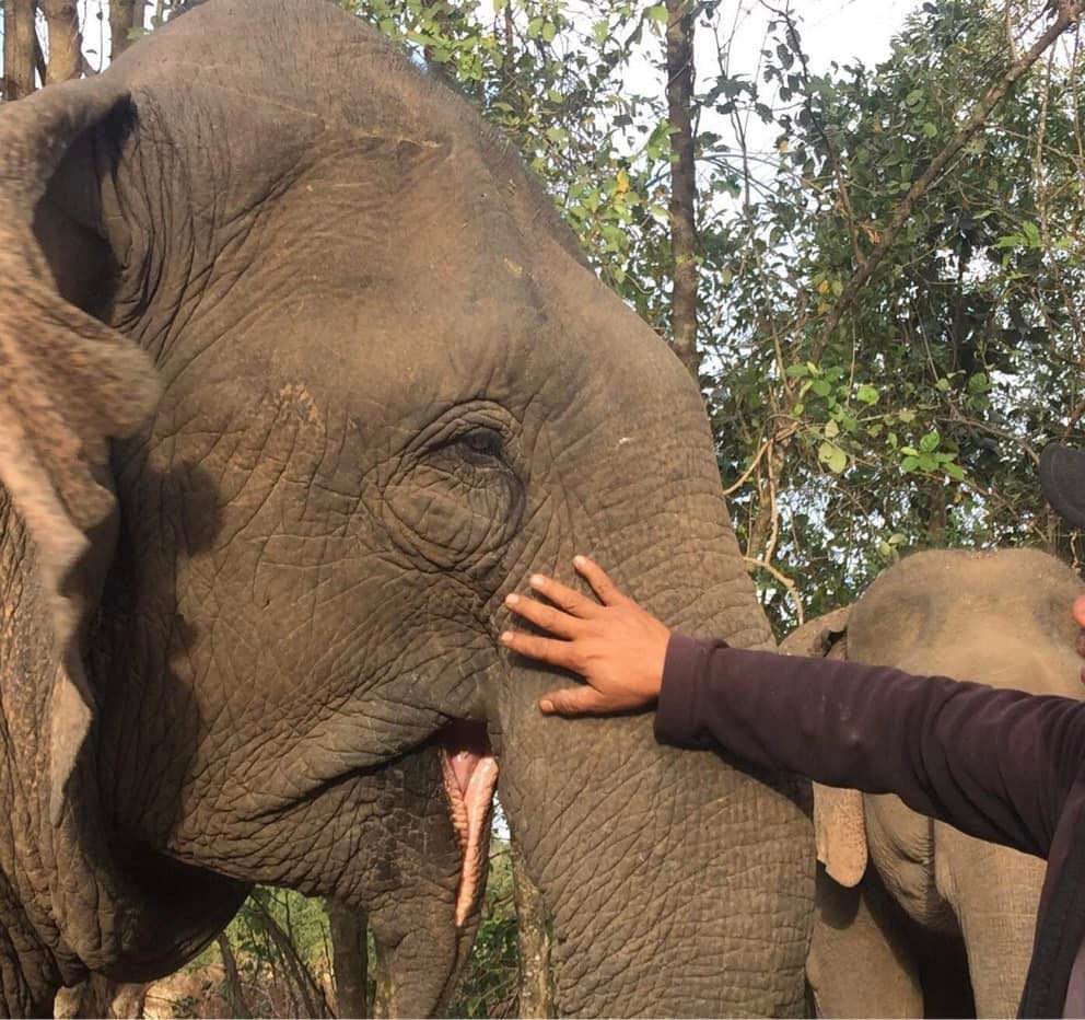 photo_2026 01 27_14 35 00