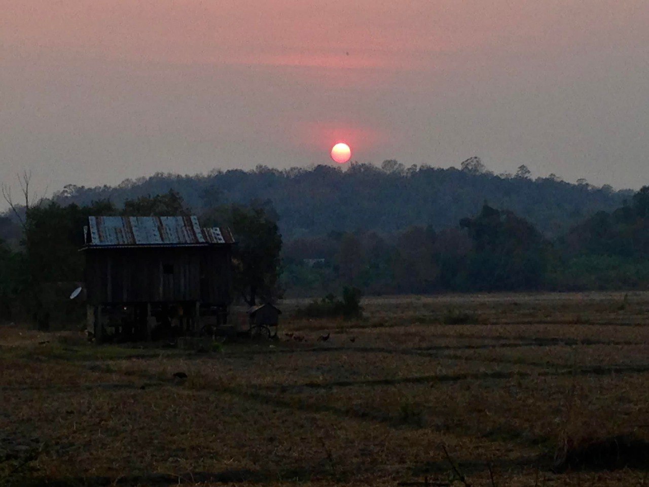 photo_2026 01 27_14 35 11