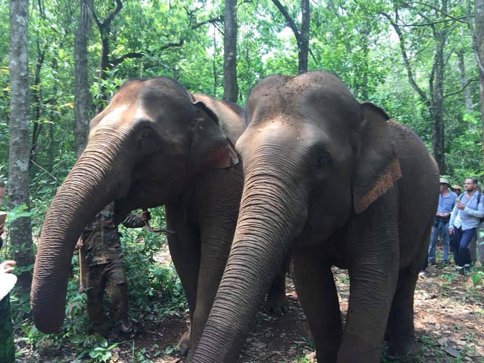 photo_2026 01 27_14 36 08