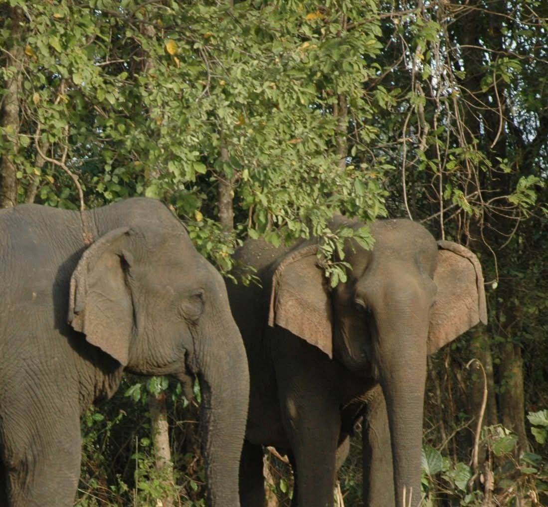 photo_2026 01 27_14 36 12