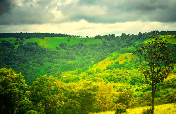 Phnom Kraol Cultural Resort at Modul Kiri2